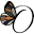 o